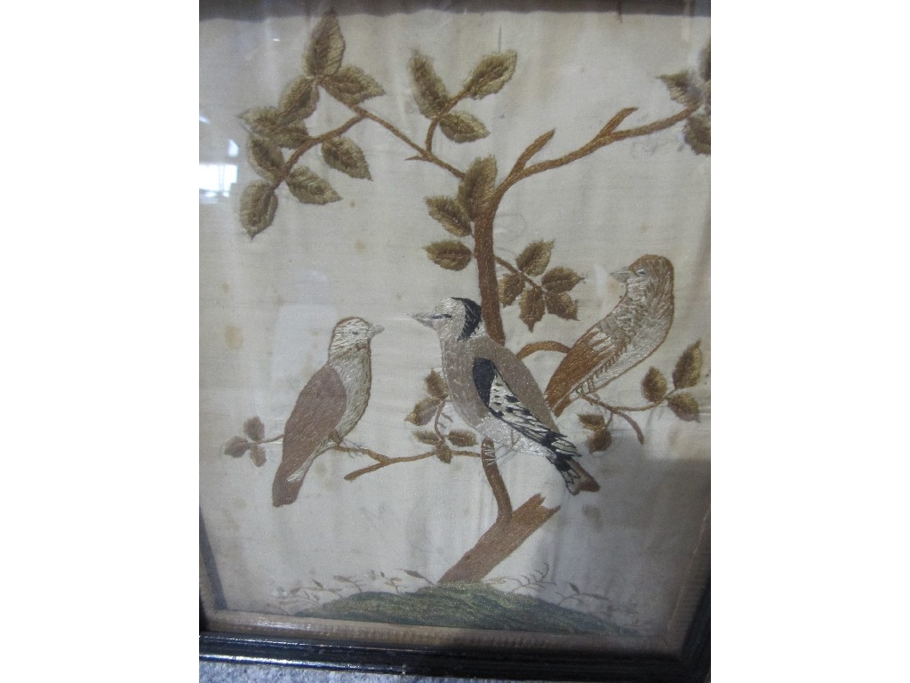 Appraisal: Lot comprising two tapestry on silk pictures - birds in