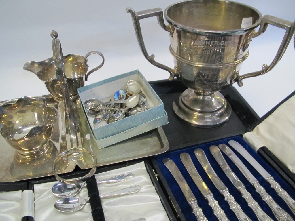 Appraisal: Tray lot of EP - trophy cup cutlery etc