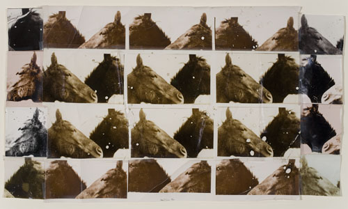 Appraisal: STARN DOUG MIKE - Horses Collage with multiple toned-silver prints