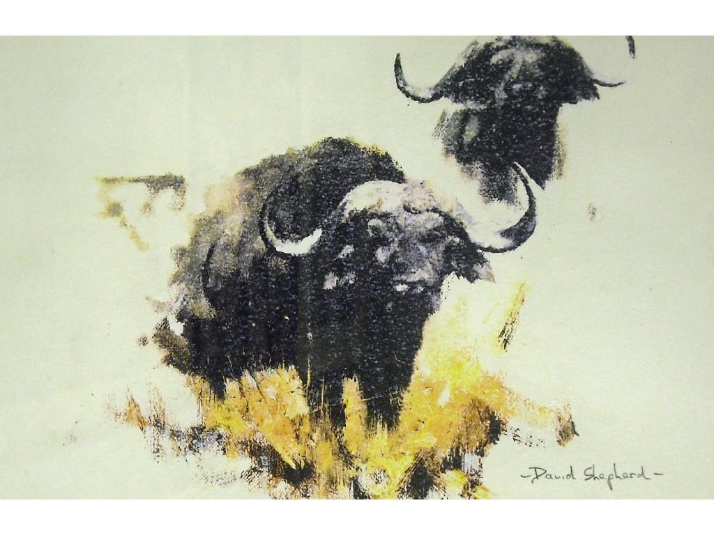 Appraisal: After David Shepherd - buffalo signed in pencil artist's proof