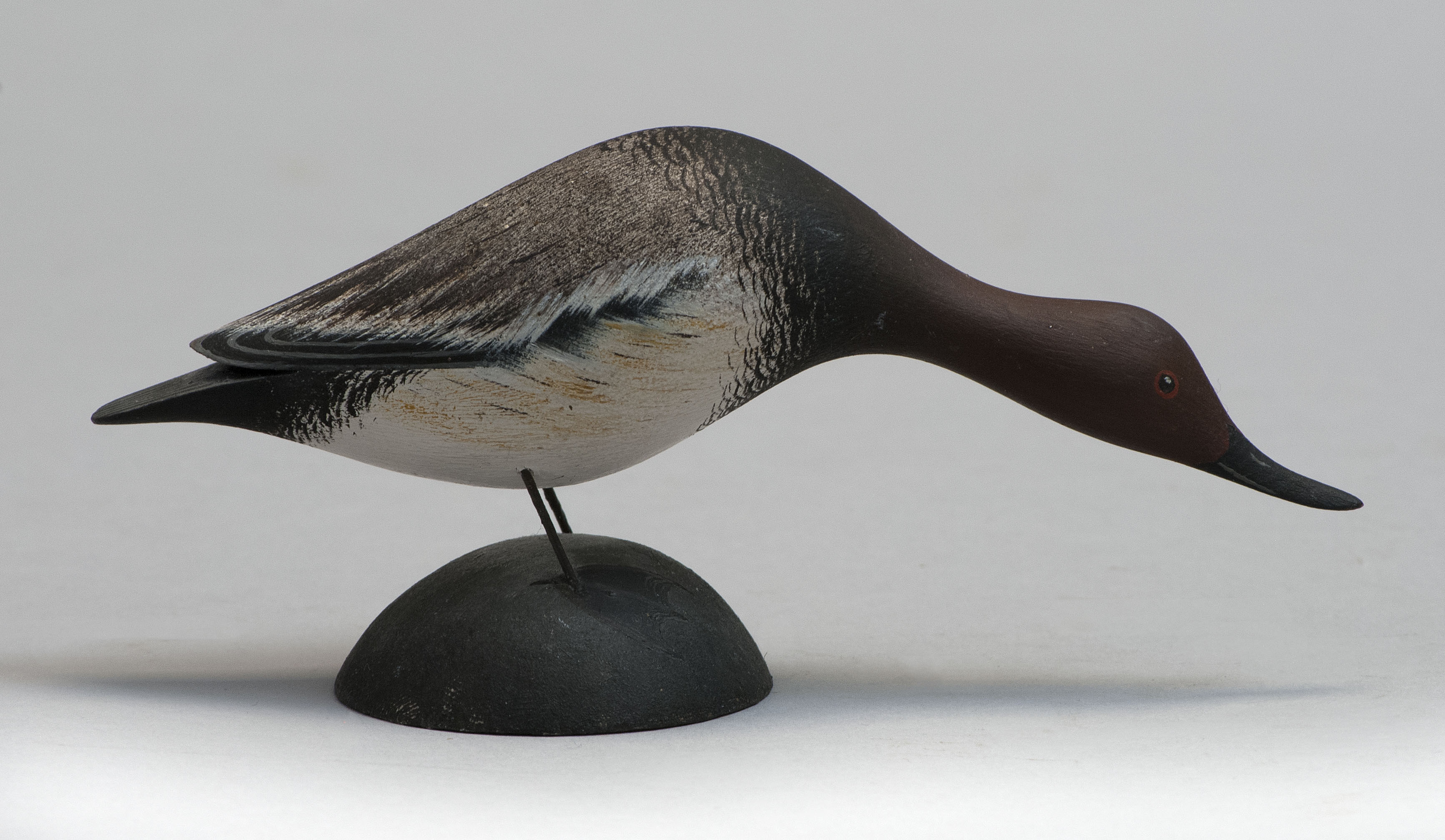 Appraisal: MINIATURE CANVASBACK DRAKE th CenturyBy Byron Bruffee of Middleboro Massachusetts