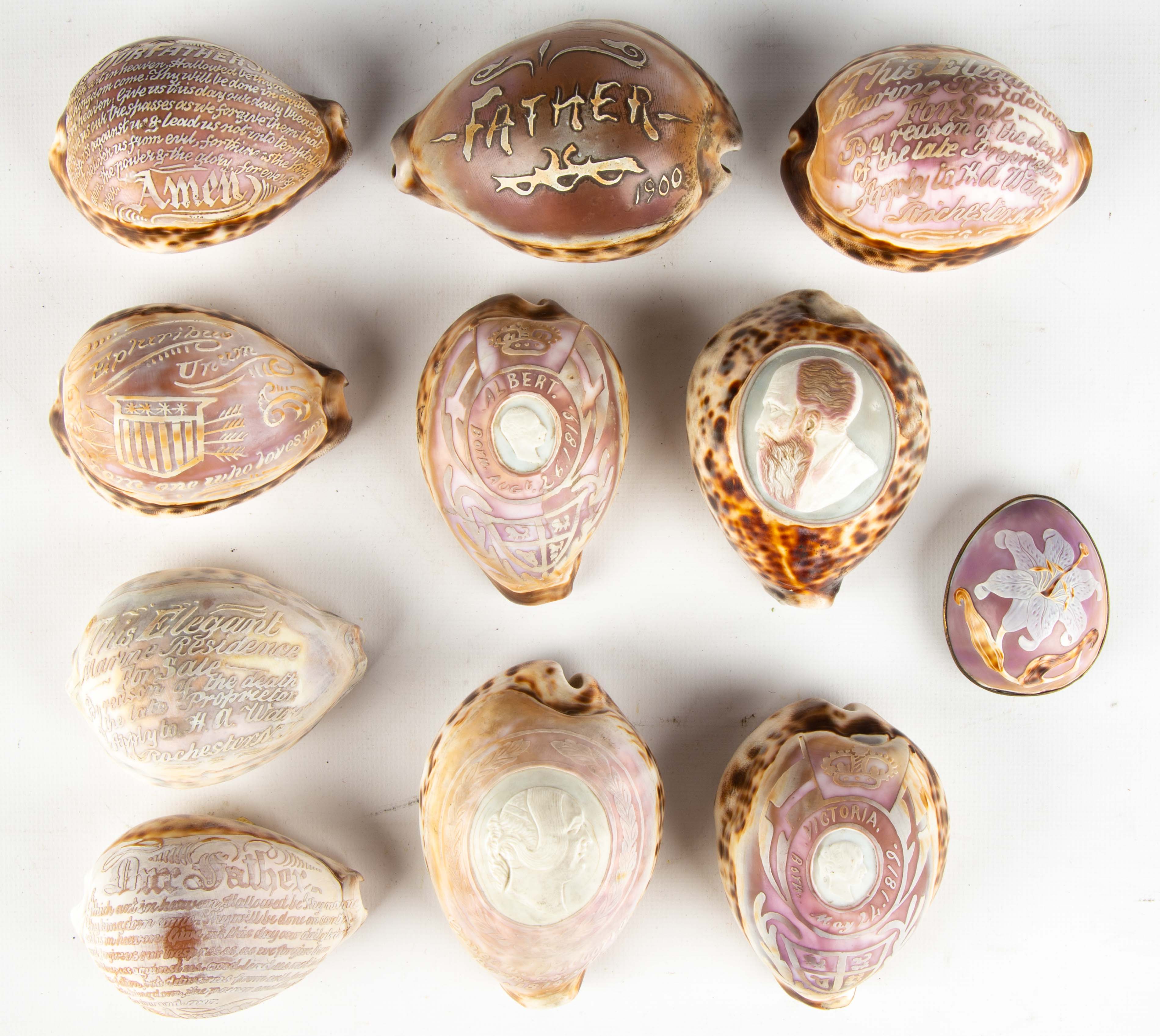 Appraisal: TH CENTURY CARVED COWRIE SHELLS with carved portrait busts Albert