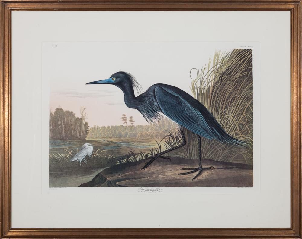 Appraisal: After John James Audubon American - Blue Crane or Heron