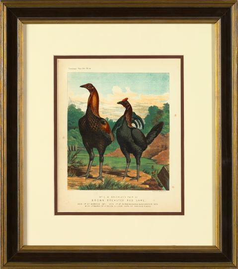 Appraisal: J Ludlow Cassell British th Century Hens four stone lithographs