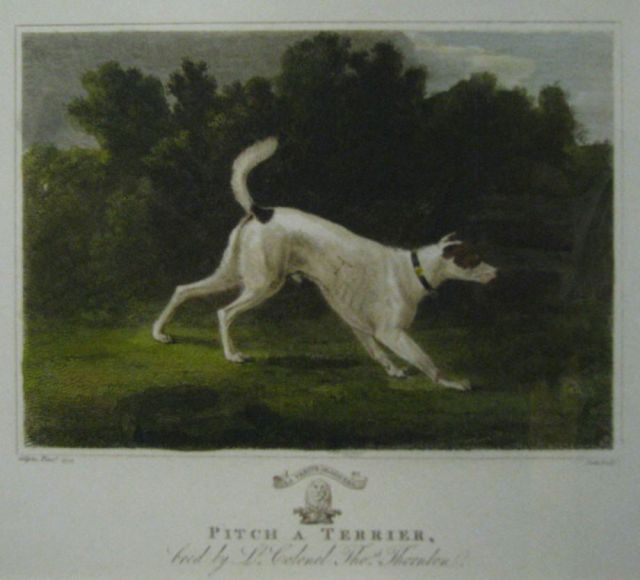 Appraisal: Lot of three decorator prints of canine-motif engravings sizes as