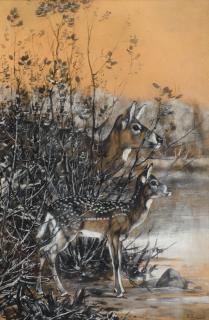 Appraisal: Carl Rungius - The Spotted Fawngouache on paper en grisaille