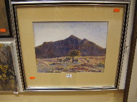 Appraisal: ENOS NAMATJIRA CENTRAL DESERT WATERCOLOUR