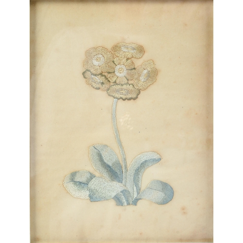 Appraisal: An embroidered silk picture of an auricula worked in coloured