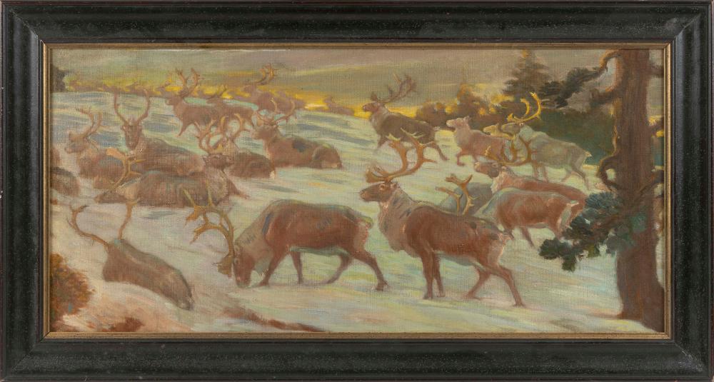 Appraisal: CHARLES ROBERT KNIGHT NEW YORK - ELK IN WINTER OIL