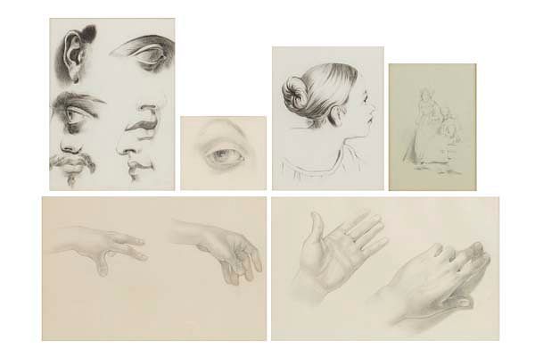 Appraisal: A group of six anatomy study pencil drawings A group