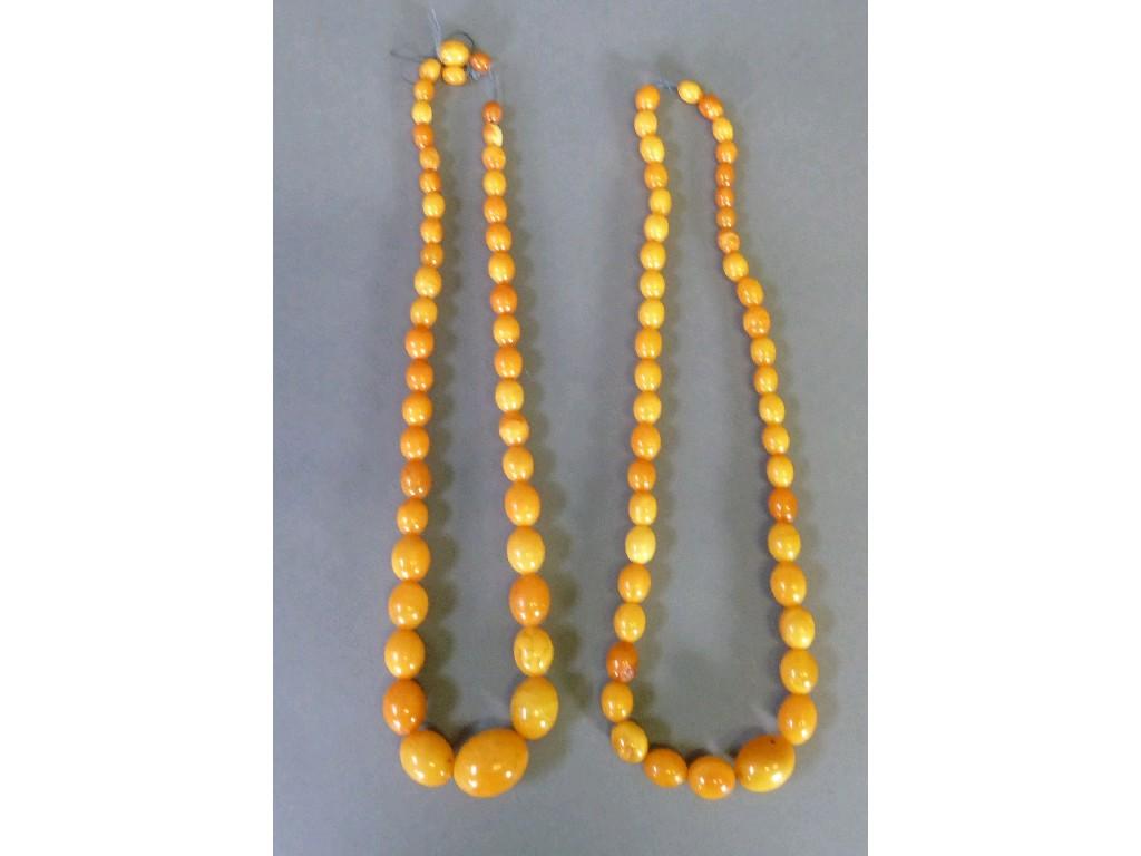 Appraisal: TWO SINGLE STRAND NECKLACES OF GOLDEN AMBER GRADUATED OVAL BEADS