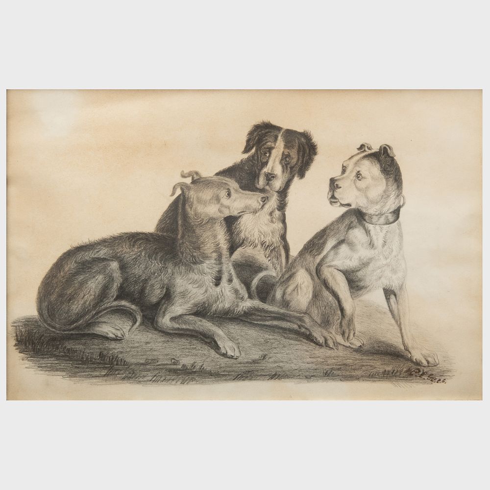 Appraisal: European School Portrait of Three Dogs Pencil on paper indistinctly