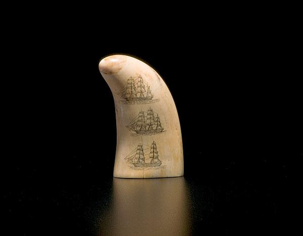 Appraisal: SCRIMSHAWED WHALE'S TOOTH WITH RIGGED TALL SHIPS American ca -