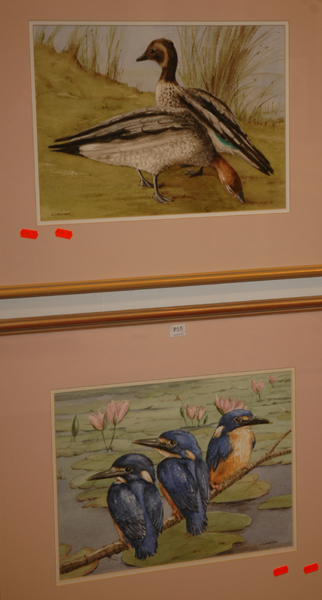 Appraisal: J LARDNER DUCKS AND KINGFISHERS PAIR OF WATERCOLOURS