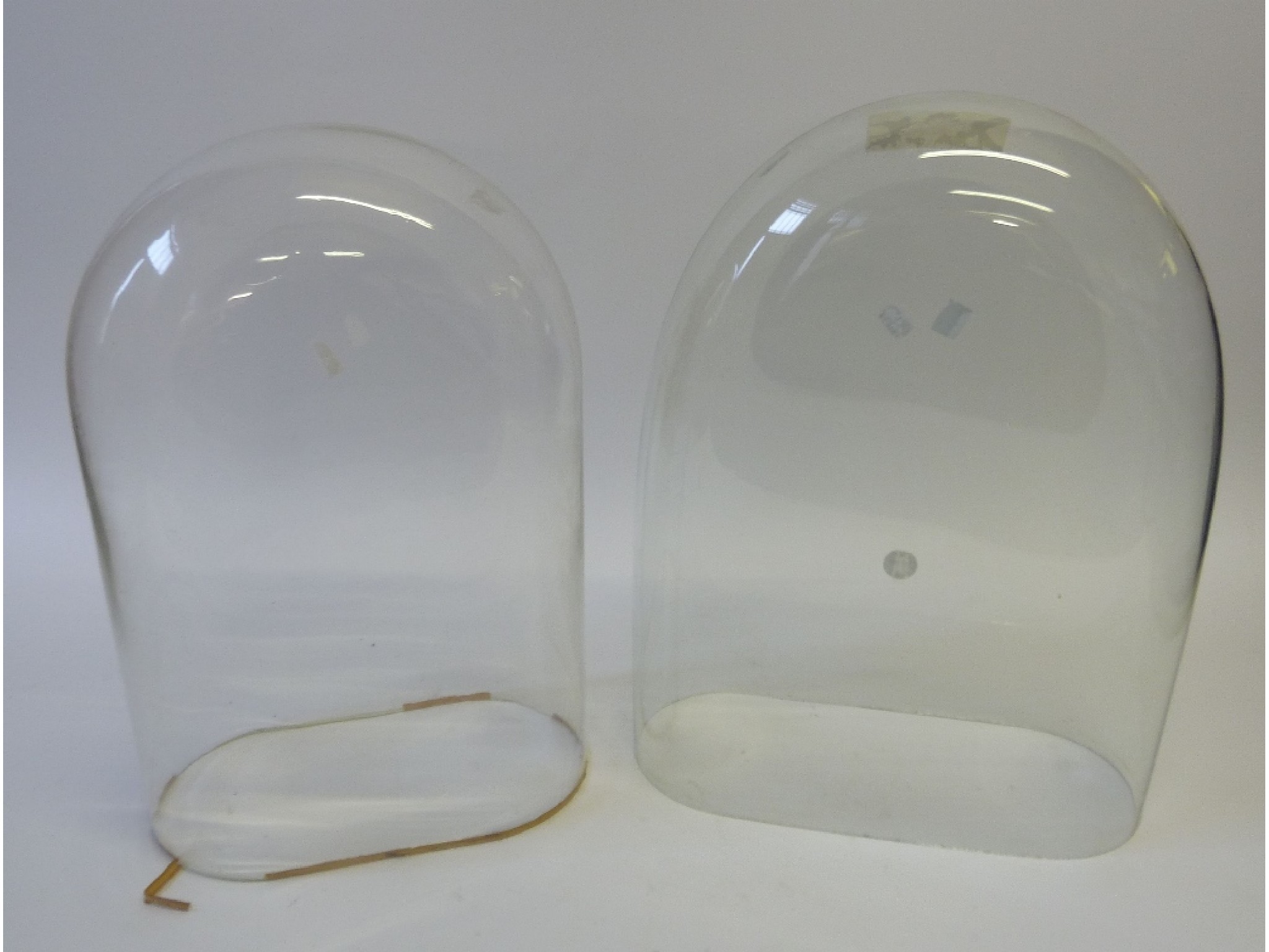 Appraisal: TWO GLASS DOMES x x cm x cm x cm