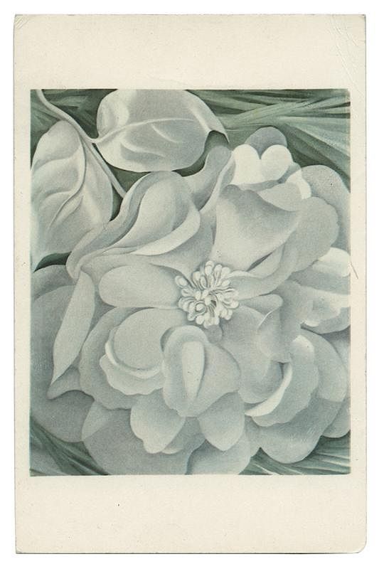 Appraisal: Georgia O Keefe Signed White Flower Postcard O Keefe Georgia