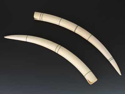 Appraisal: A Pair of Ivory Tusks A fine pair of African