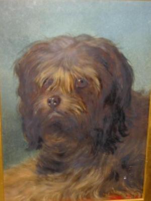 Appraisal: ENGLISH SCHOOL Portrait of a Terrier signed with initials T