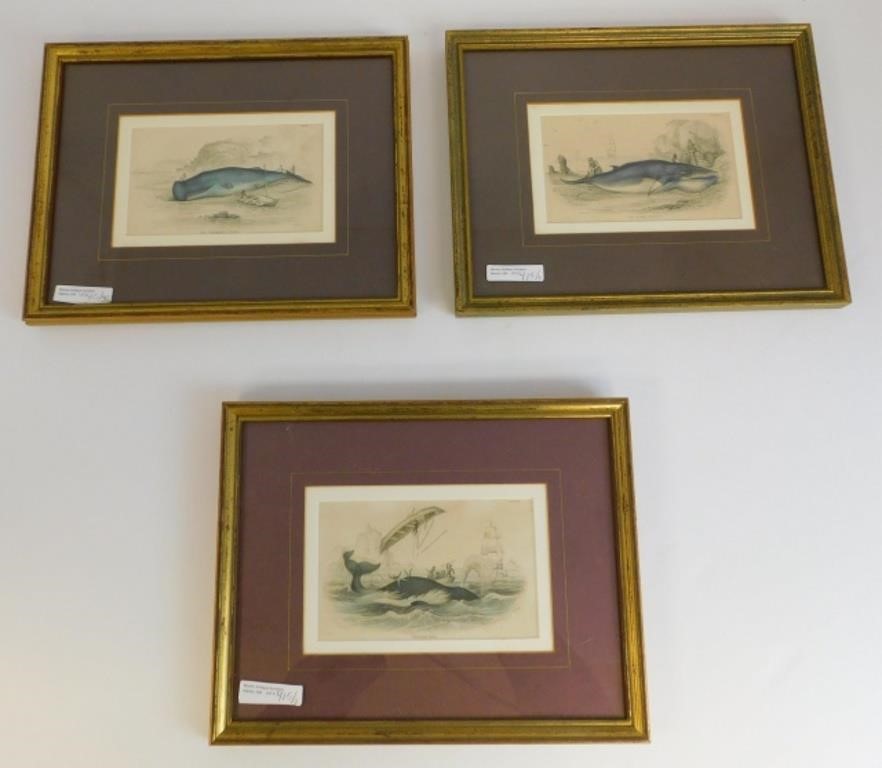 Appraisal: LOT OF THREE TH CENTURY WHALING COLOREDengravings To include The