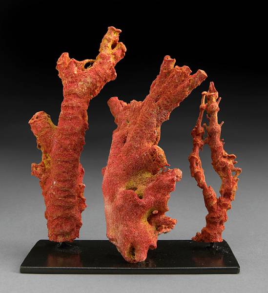 Appraisal: Red Sponge Coral Corallium sp Modern South China Sea Rarely