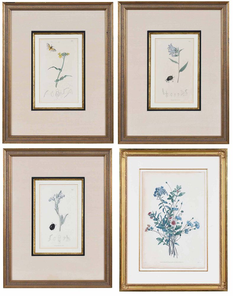 Appraisal: Four Botanical Prints One Pr vost Jean Louis Pr vost