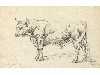 Appraisal: JAMES WARD RA - STUDY OF A BULL signed JWRD