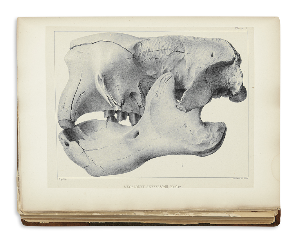 Appraisal: MAMMALIA Compilation of rare works on mammalian vertebrate paleontology extracted