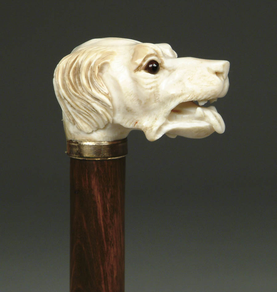 Appraisal: CARVED IVORY DOG HEAD CANE Dog head carved with dropped