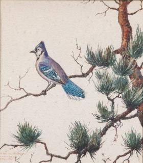 Appraisal: William J Schaldach Blue Jay signed and dated W J