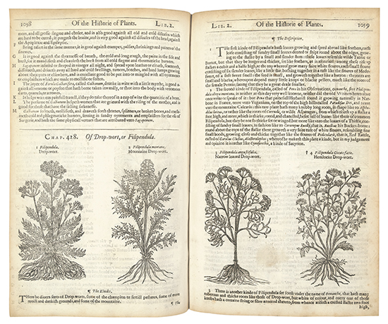 Appraisal: BOTANICAL Gerard John The Herball or Generall Historie of Plantes