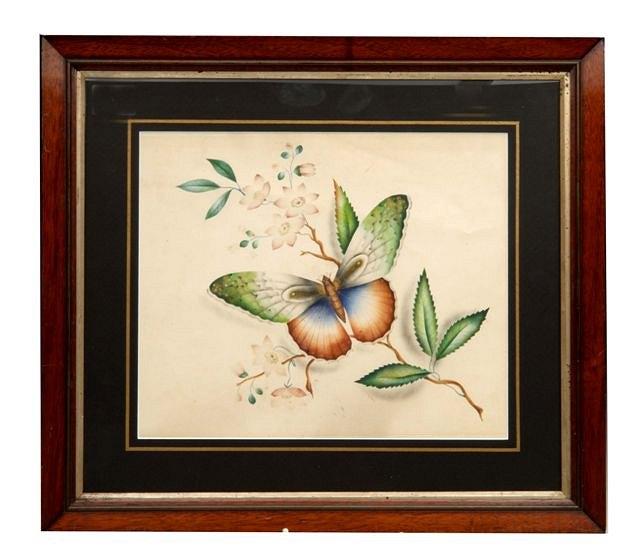 Appraisal: A TH CENTURY WATERCOLOUR STUDY of a tropical butterfly amongst