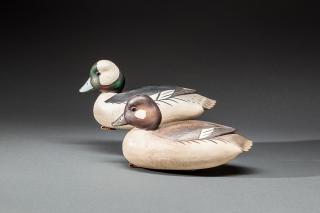 Appraisal: Bufflehead Pair Robert Bob White b Tullytown PA c Two