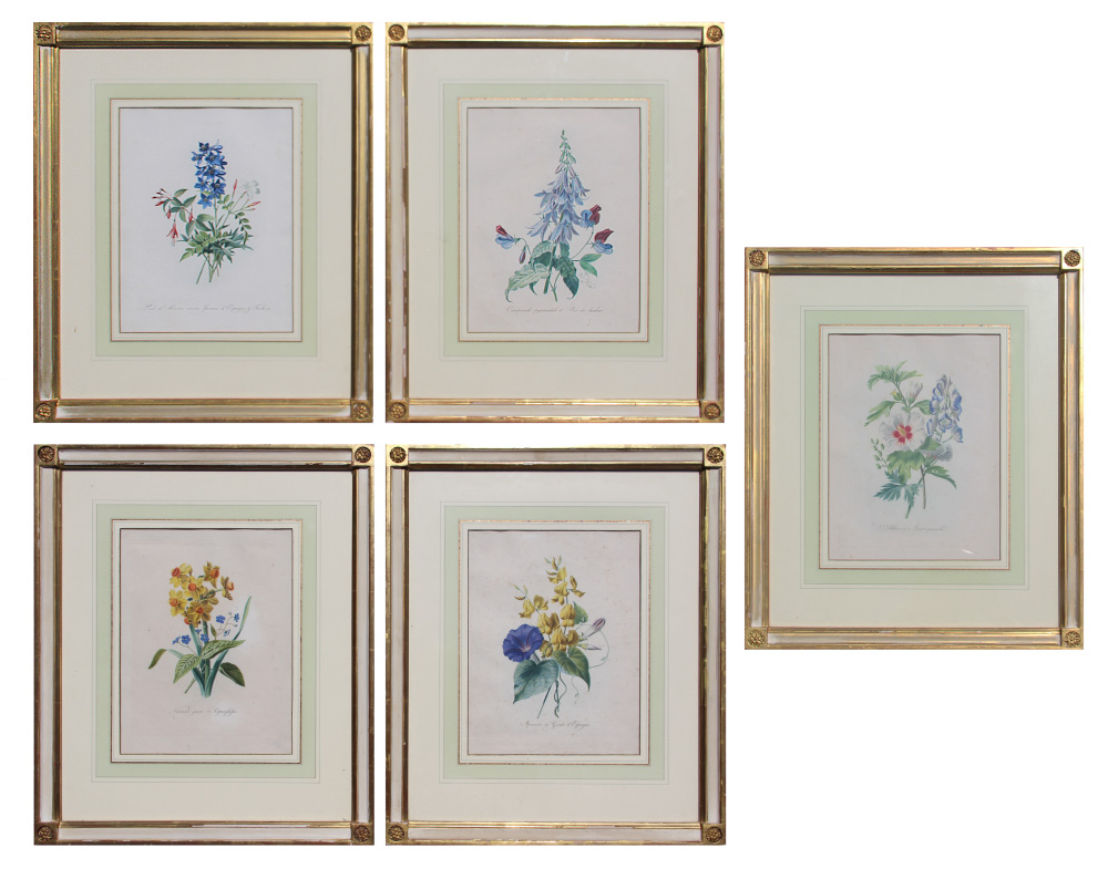 Appraisal: CHAZAL Antoine French - Botanical Engravings from the Flore Pittoresque