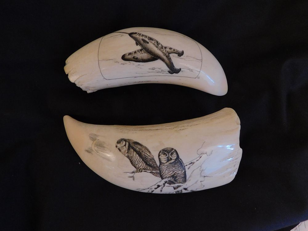 Appraisal: WHALE TEETH - OWLS NARWHALS Whale teeth one with scrimshaw