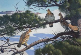 Appraisal: Aiden Lassell Ripley - Grouse on a Hard Pine signed