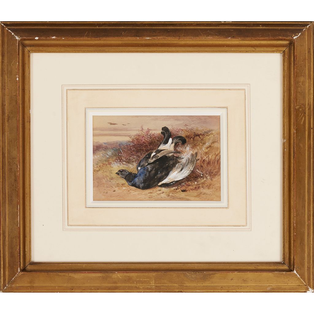 Appraisal: JAMES HARDY JNR BRITISH - A GAME BIRD signed watercolour