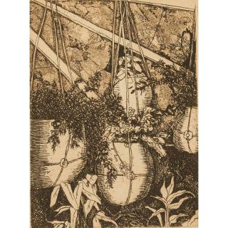 Appraisal: Hanging Plants Etching Framed etching depicting hanging plants Signed Beals