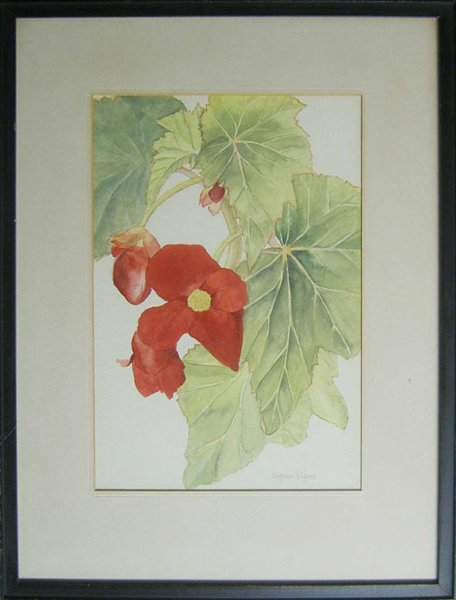 Appraisal: James Deane New Jersey mid th c watercolor titled Begonia