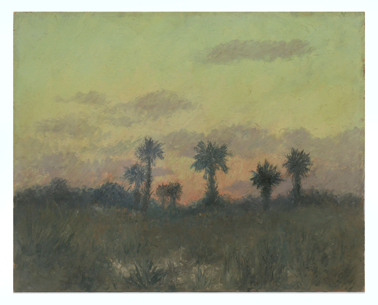 Appraisal: STOKES Durett American th Century ''Palmettos at Sundown'' Oil board