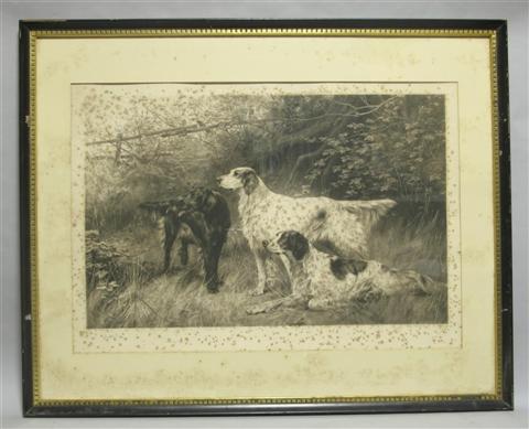 Appraisal: THOMAS BLINKS BRITISH - TWO PRINTS OF SETTERS Print x