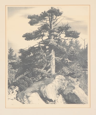 Appraisal: Tree and rocks lithograph x image size pencil LR pencil