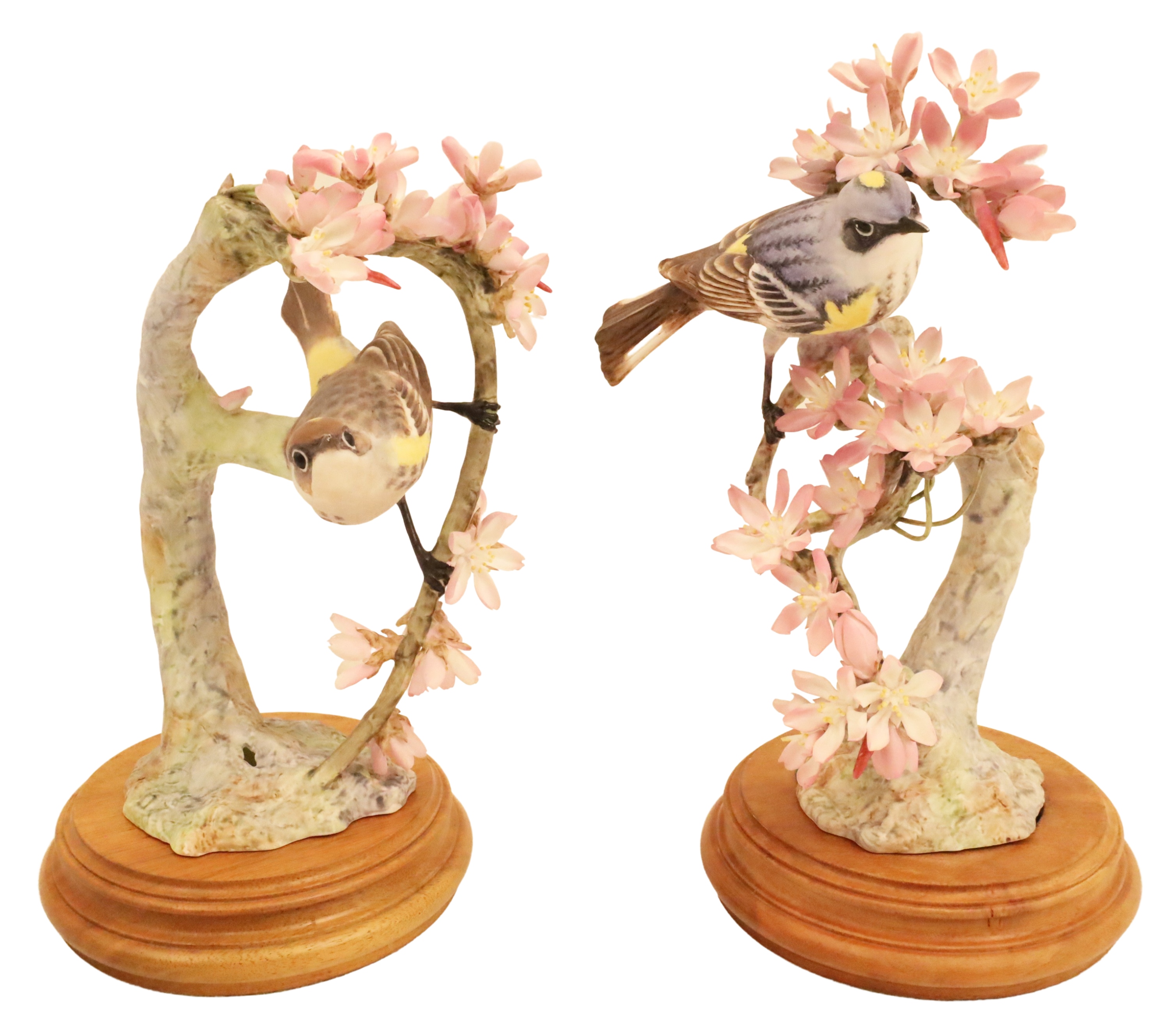 Appraisal: MYRTLE WARBLERS BY DOROTHY DOUGHTY Pair of bone china porcelain