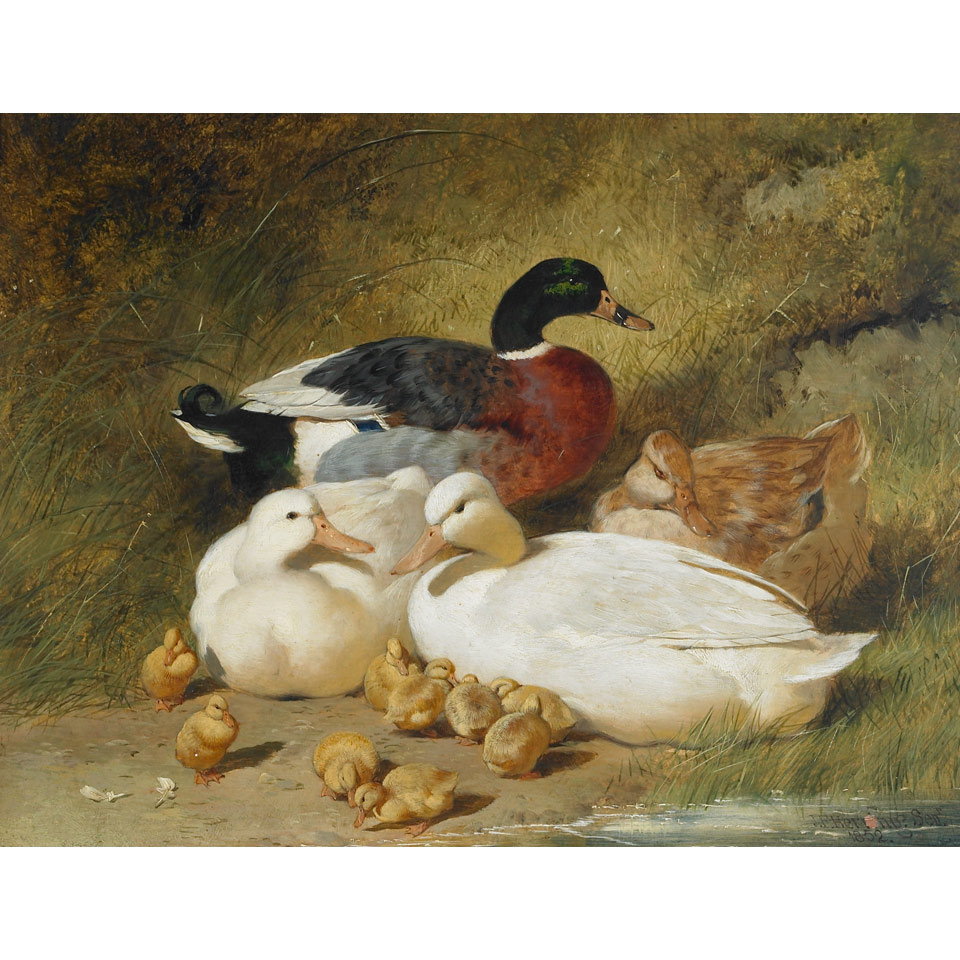 Appraisal: John Frederick Herring Sr - British MALLARD DUCKS AND DUCKLINGS