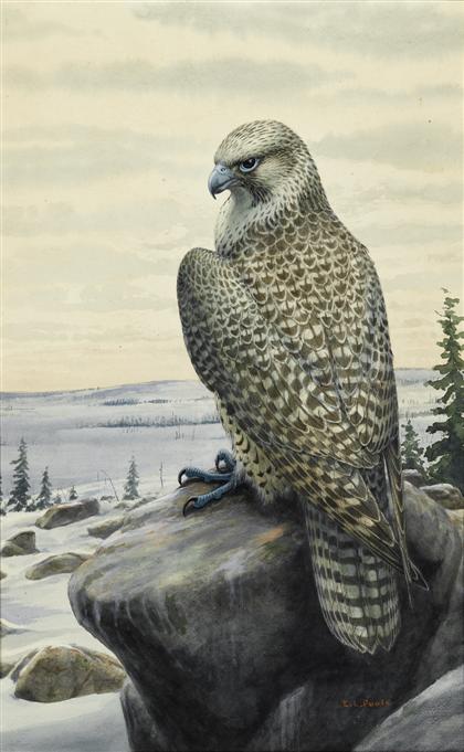 Appraisal: piece Original Watercolor Poole Earl Lincoln Hawk perched in foreground