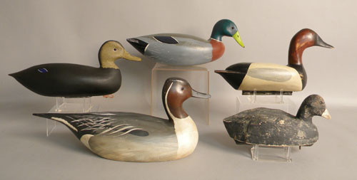 Appraisal: Group of five duck decoys th c a canvasback l