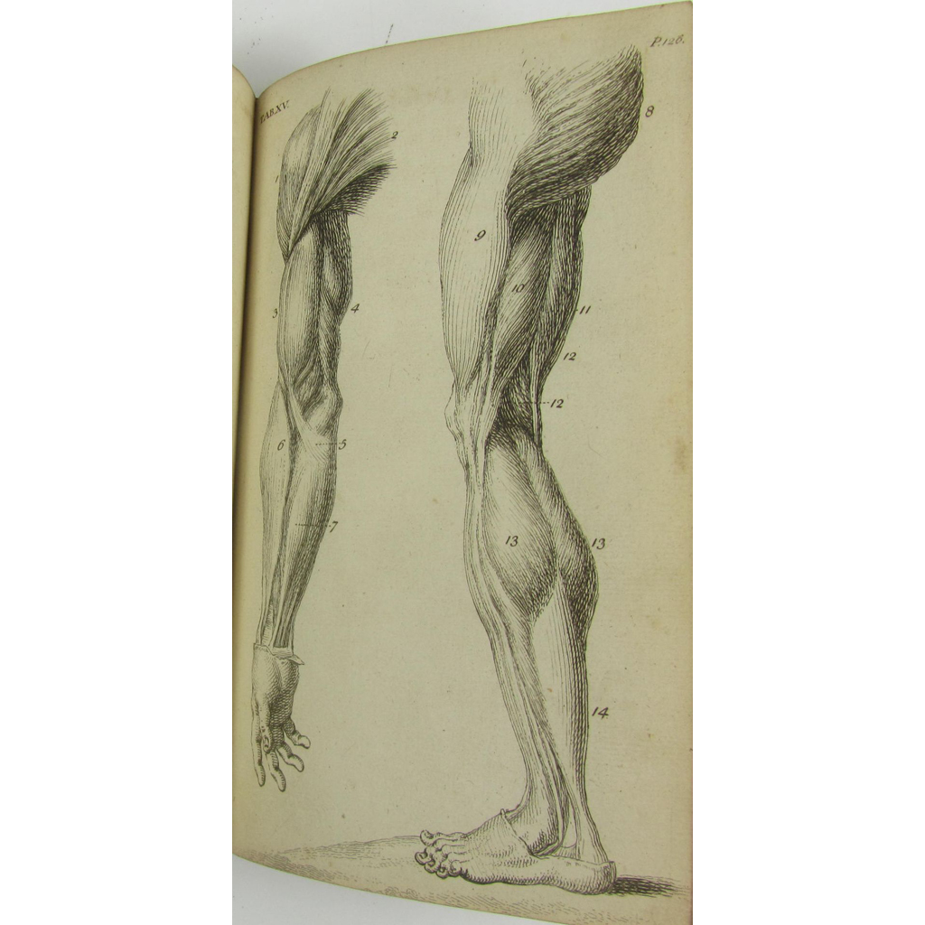 Appraisal: Cheselden William The Anatomy of the Human Body London C