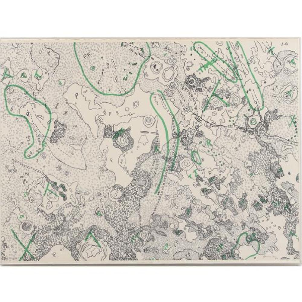 Appraisal: NANCY STEVENSON GRAVES NEW YORK MASSACHUSETTS - LUNAR MAP IV