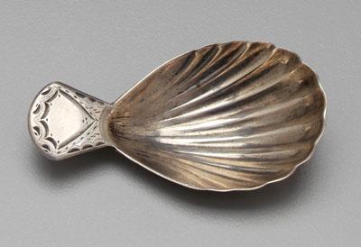 Appraisal: English silver caddy spoon all with shell bowls tab handle