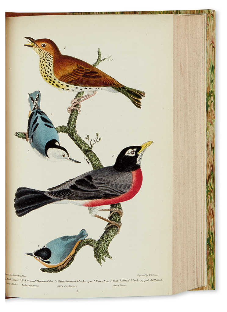 Appraisal: WILSON ALEXANDER American Ornithology and of hand-colored engraved plates Three