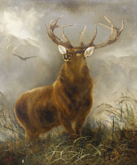 Appraisal: Robert Cleminson British active circa - The Stag After Landseer